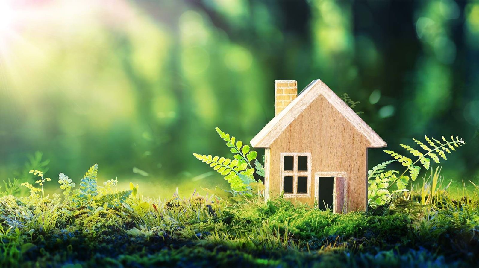 Les maisons modulaires en PSE à La Réunion, la solution éco-responsable et écologique